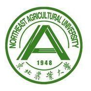 ag真人官方网